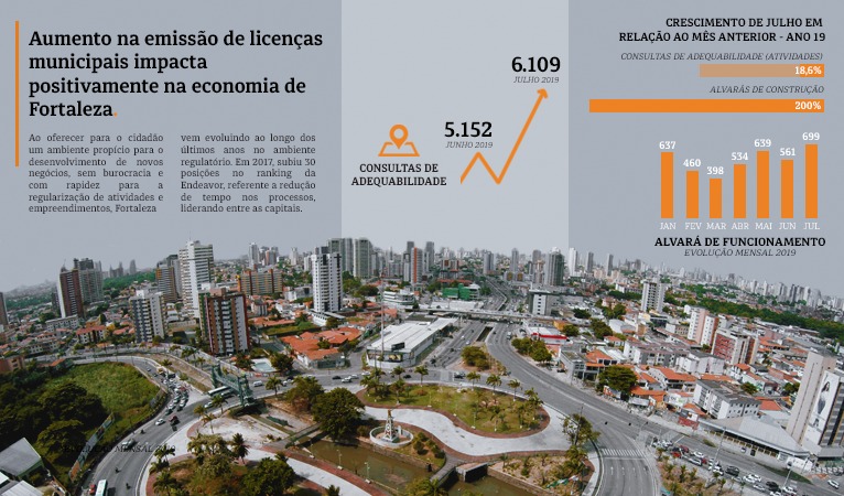 Infográfico com dados