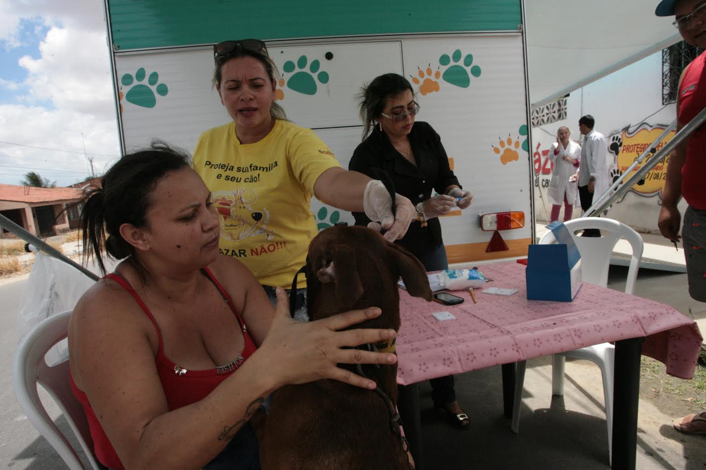 cachorro sendo vacinado