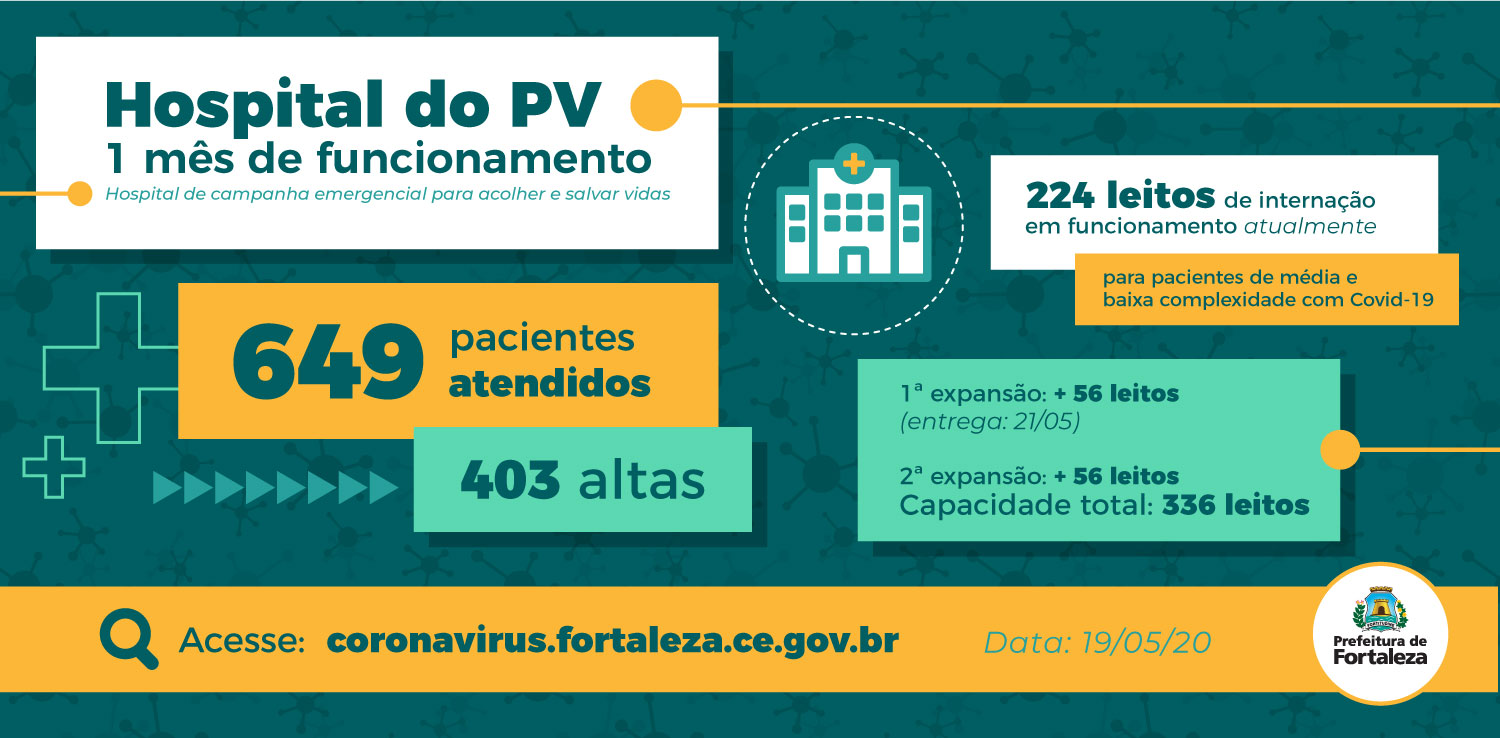 infográfico com resumo das informações ditas no texto