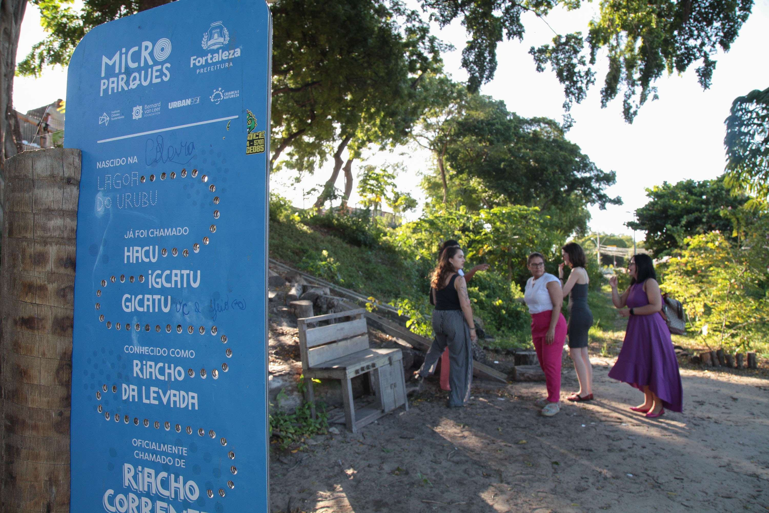 grupo de pessoas num parque