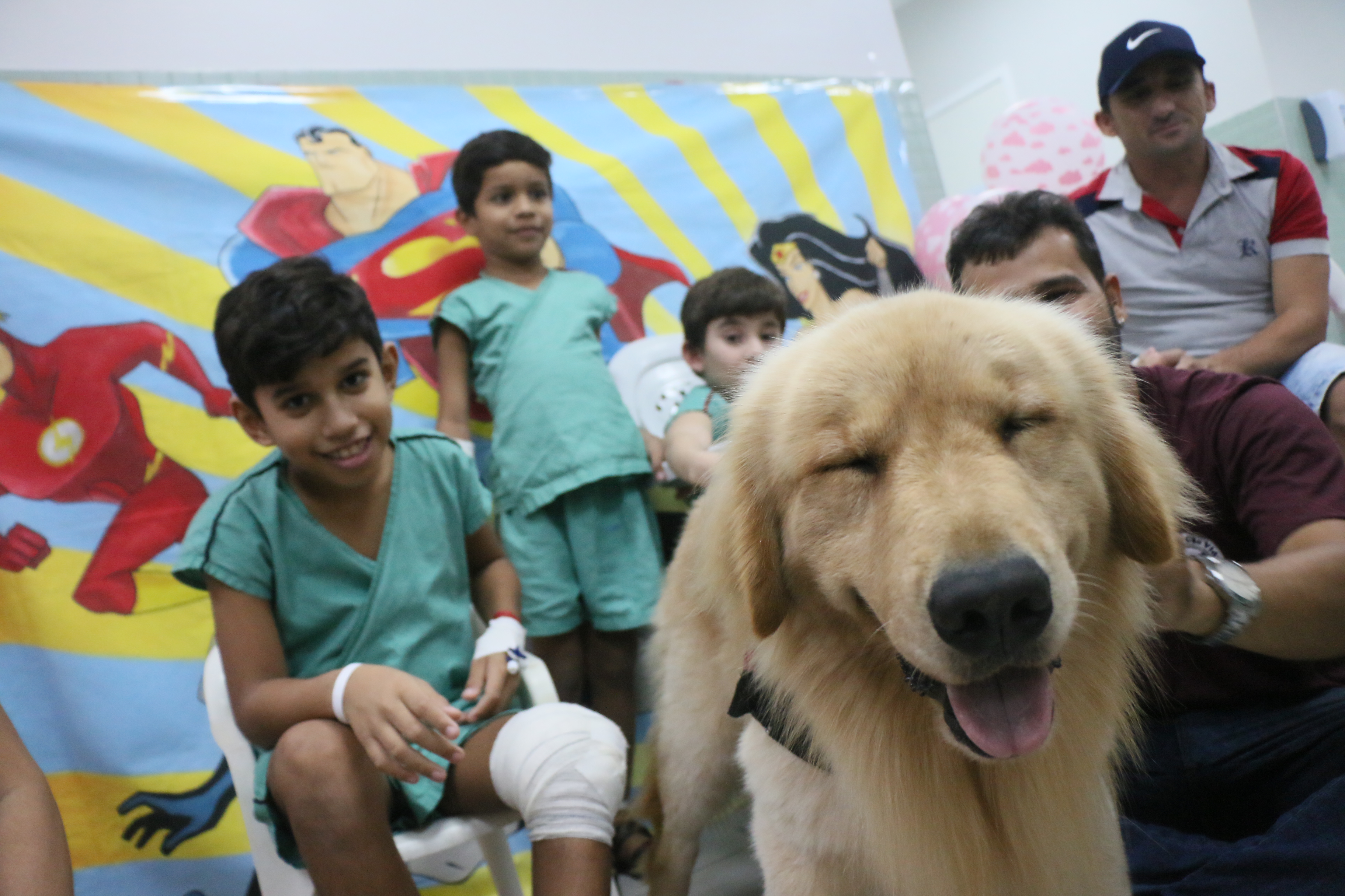 Paciente pediátrico do IJF recebe carinho de cão terapeuta.