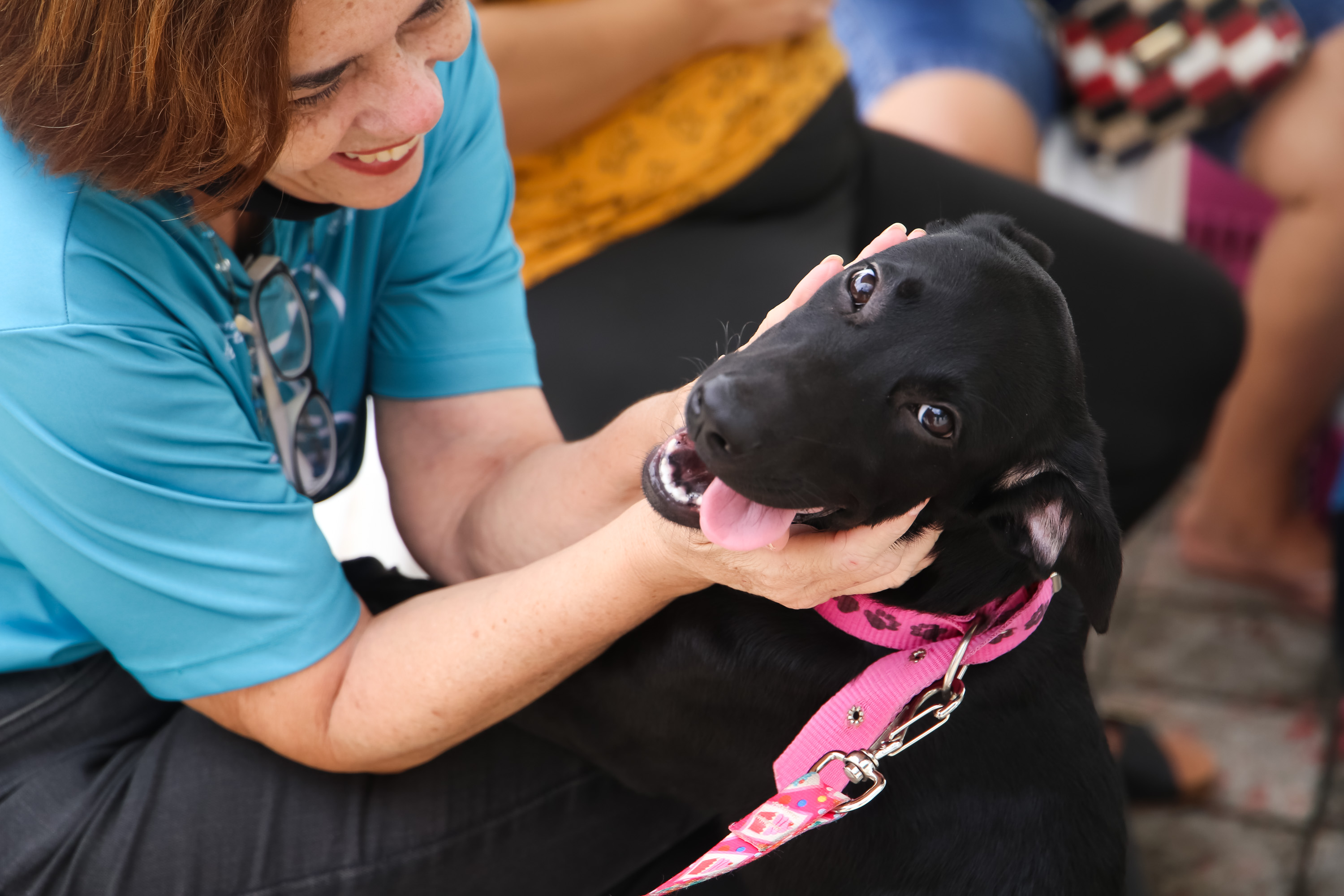 Mulher faz carinho em cachorro.