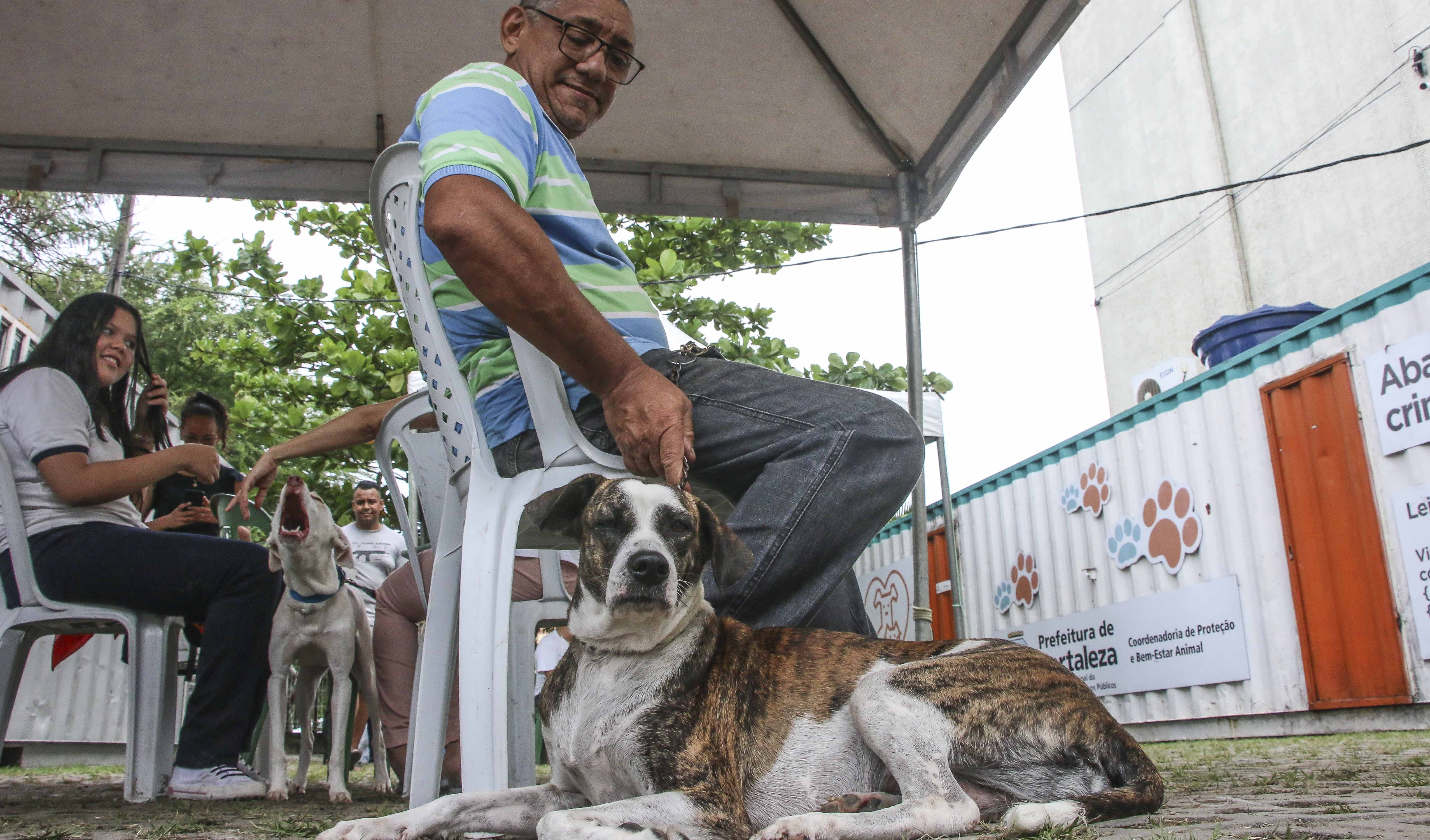 Pessoas aguardam próximas a contêiner do VetMóvel. 