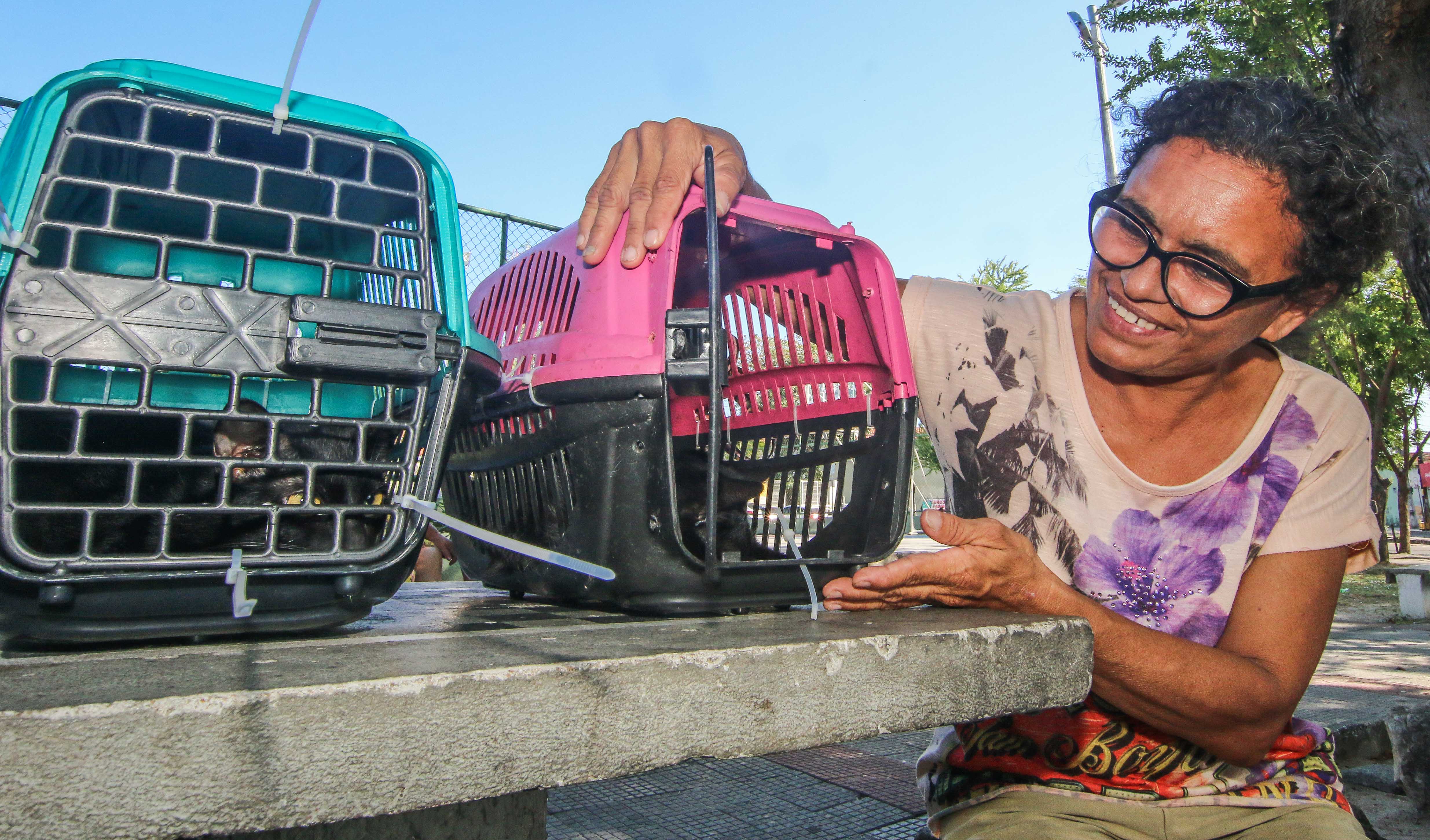 Mulher ao lado de caixas de transportes com gatos