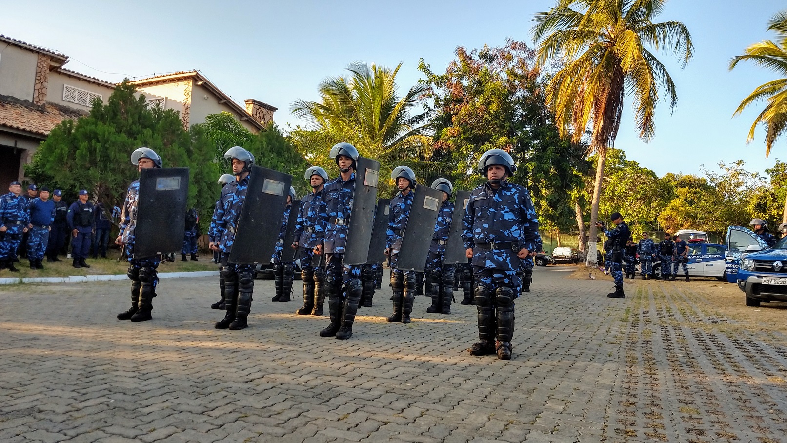 Formação do Grupo de Operações Especiais (GOE)