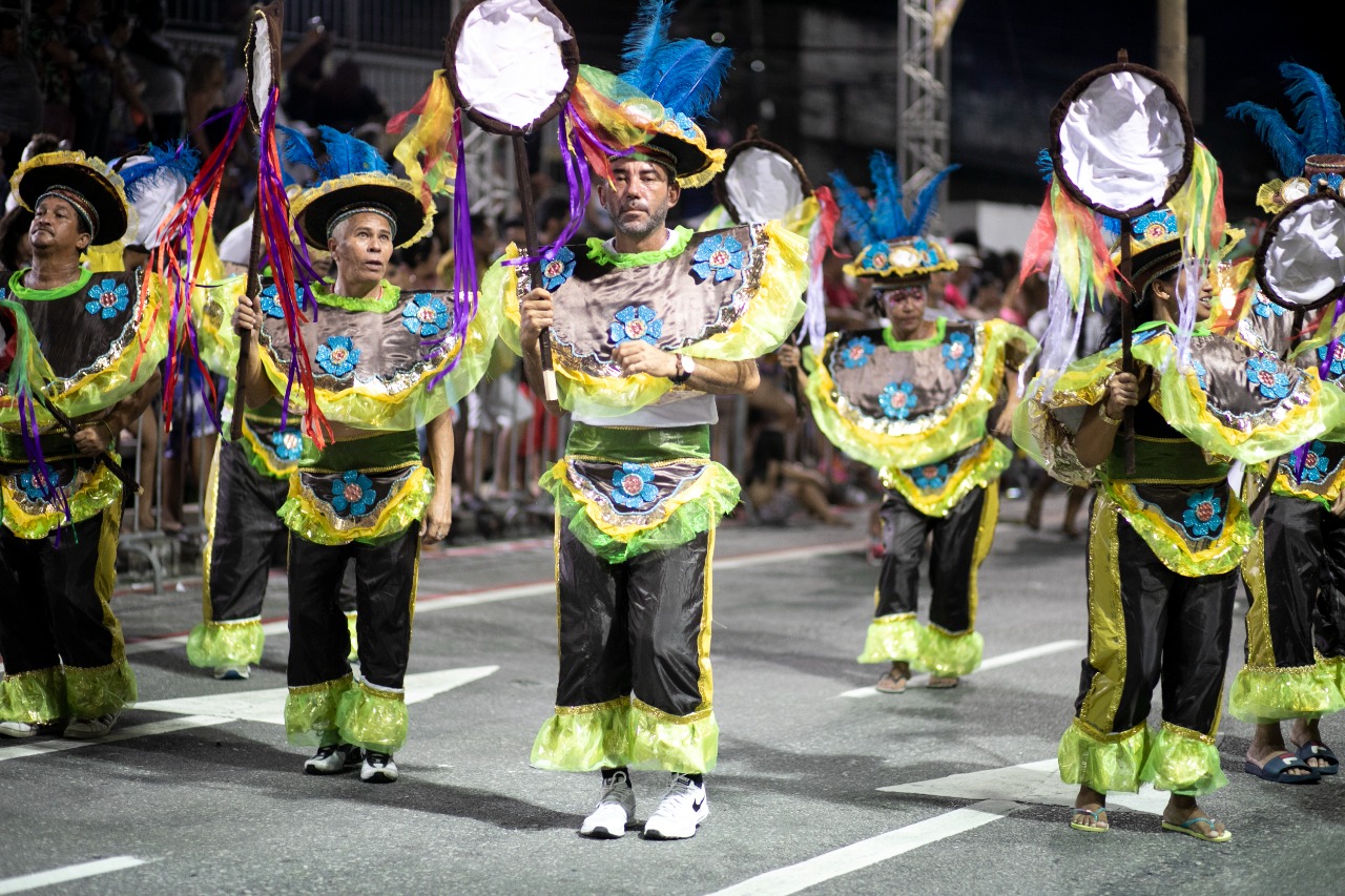 Foliões cm fantasias coloridas desfilam na avenida Domingos Olímpio