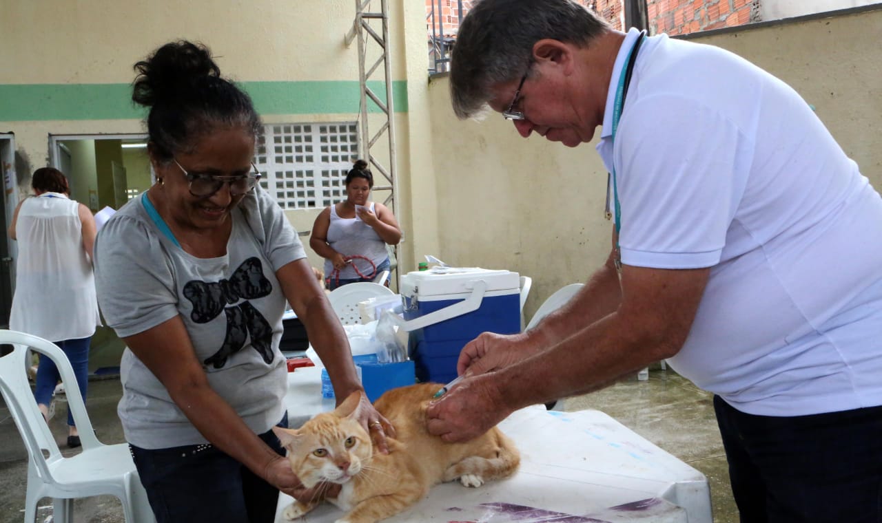 Entre os serviços oferecidos pelo +Bairros a população contará com o atendimento de zoonoses.