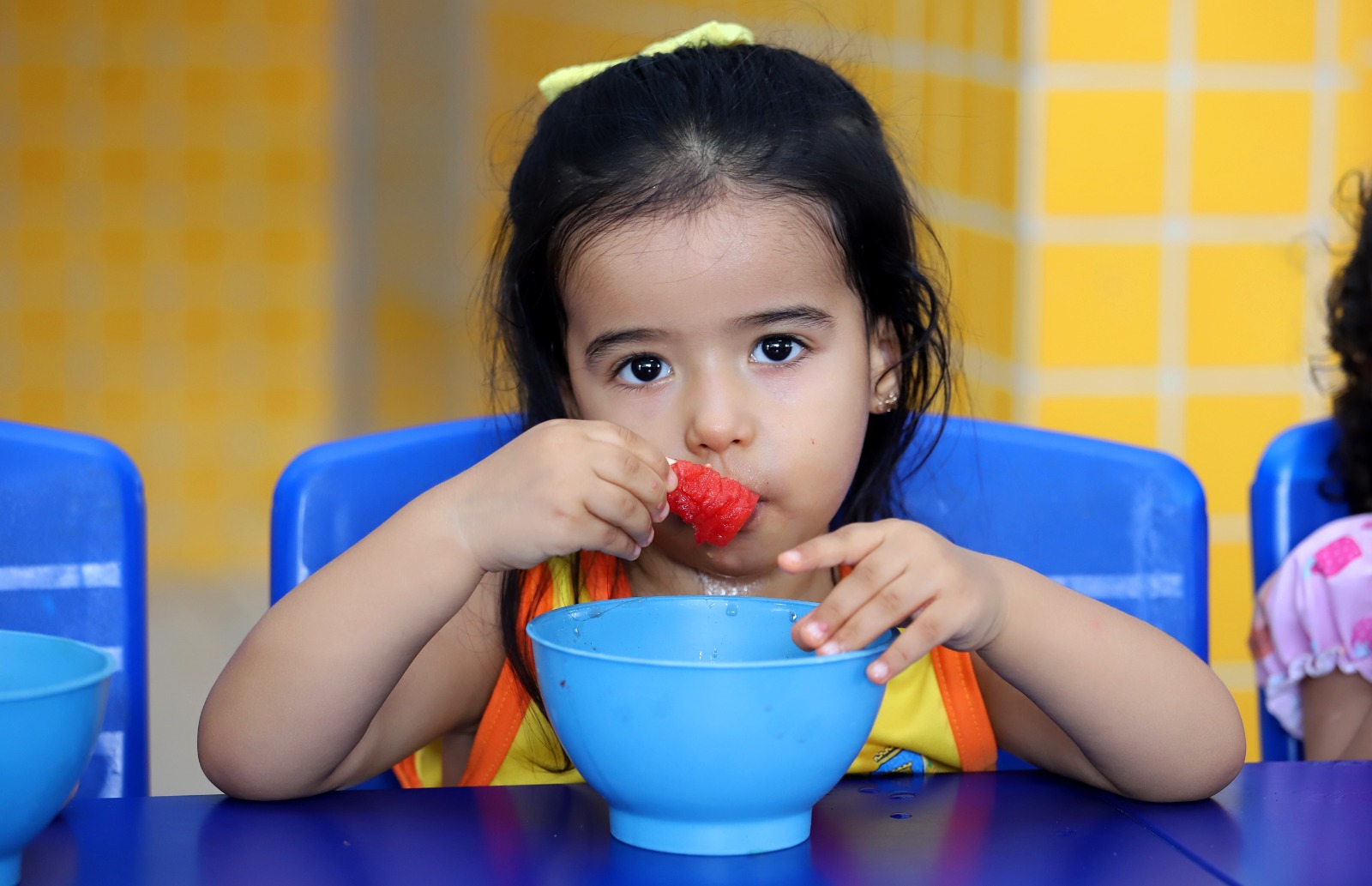 alimentação escolar