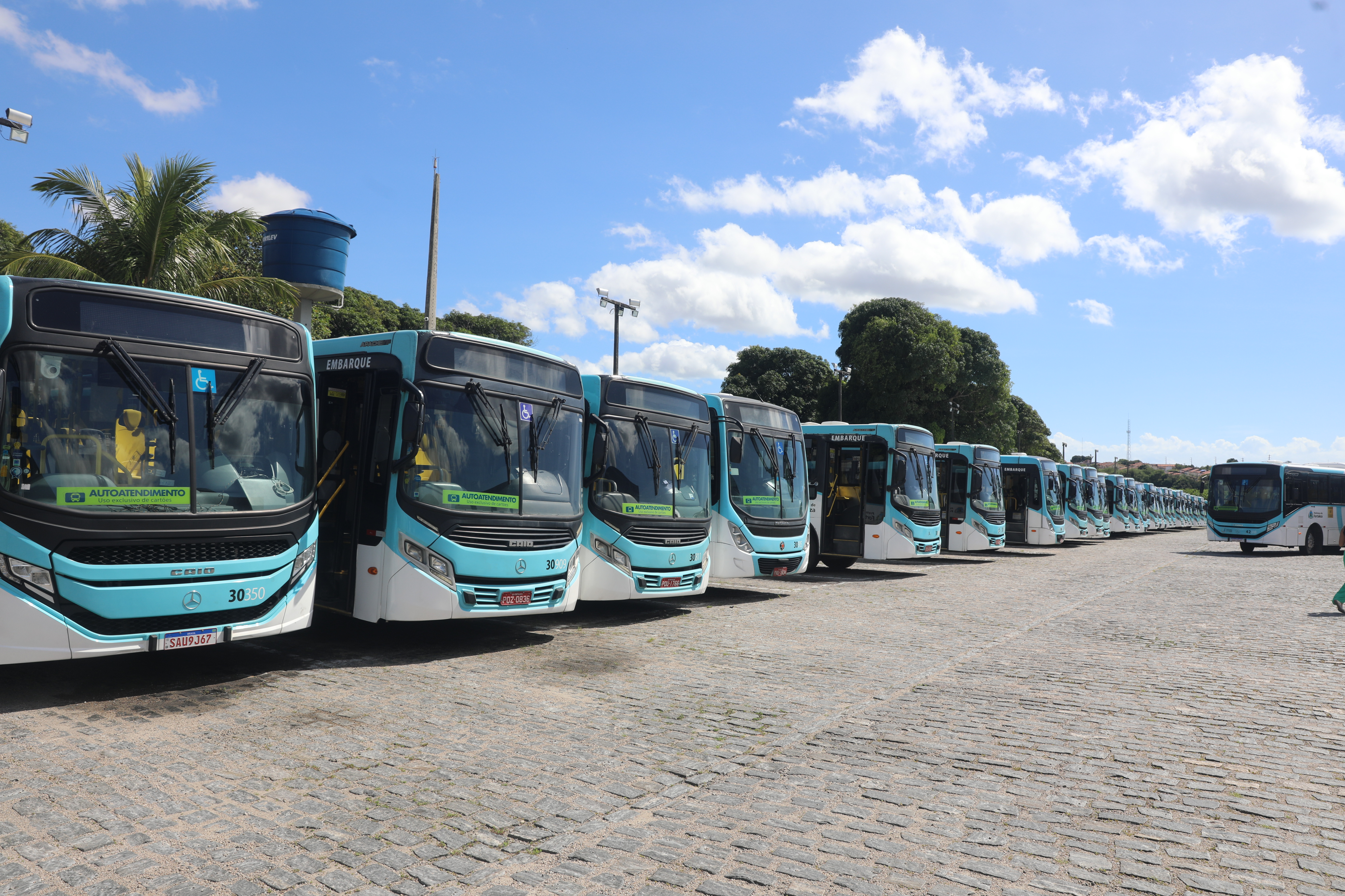 ônibus novos estacionados