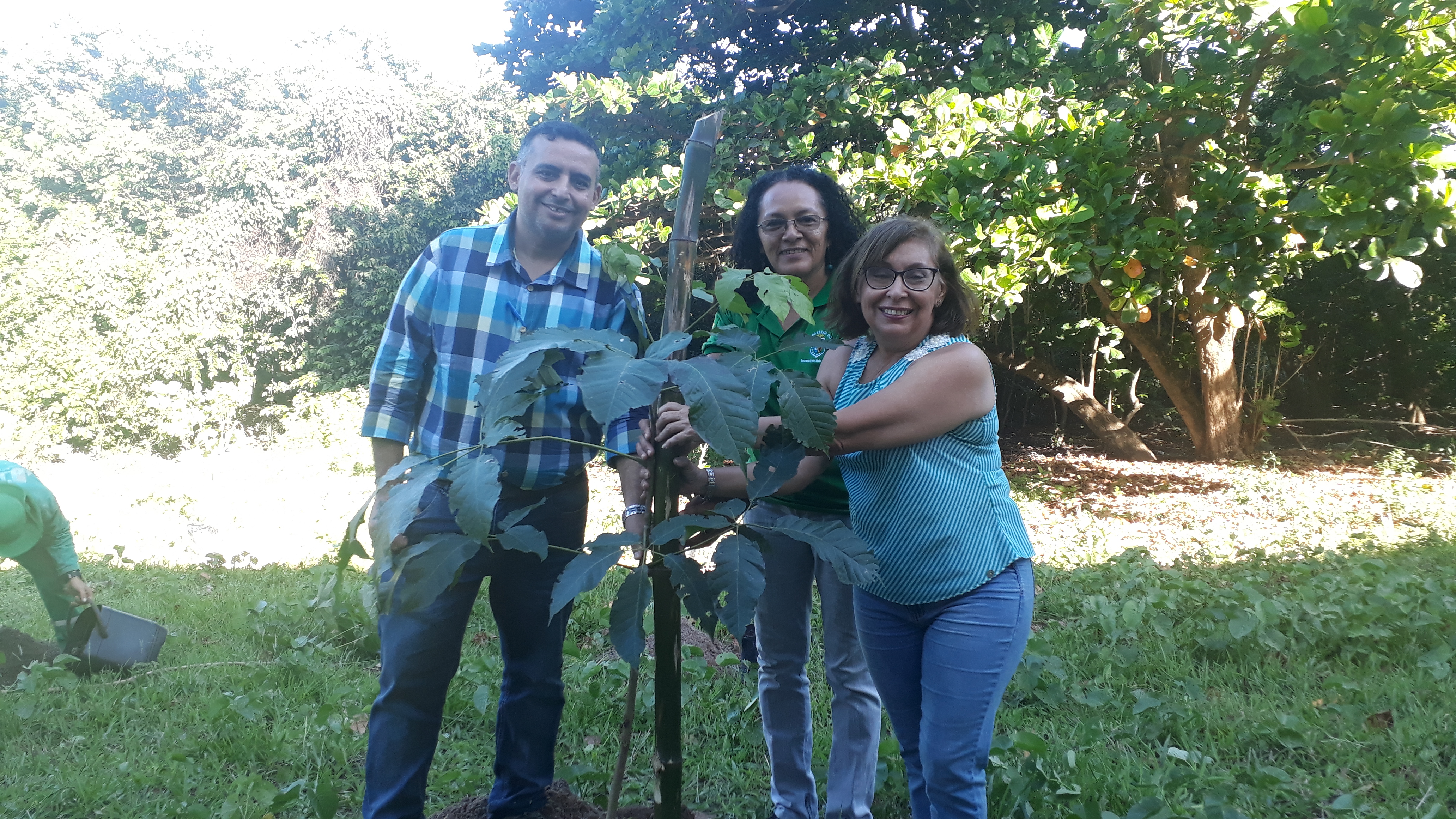 Plantio de muda de Ipê pelos responsáveis do projeto  