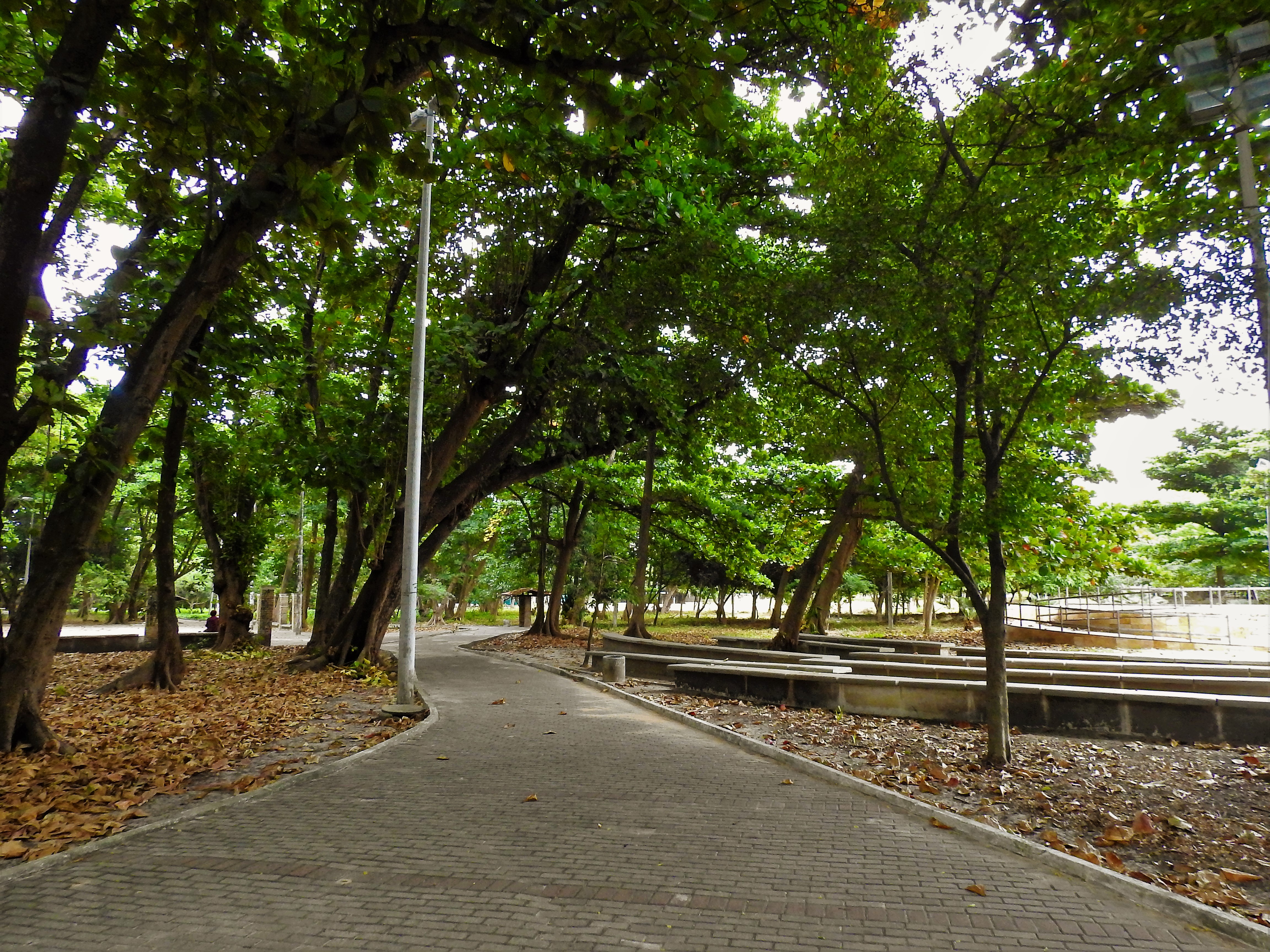 Caminho do parque Rio Branco 