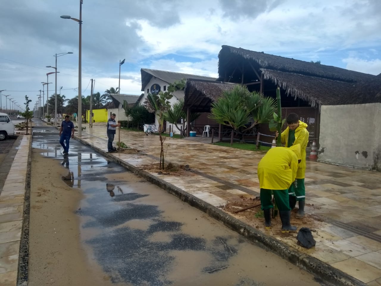 Homens plantando mudas de árvores na praia do futuro