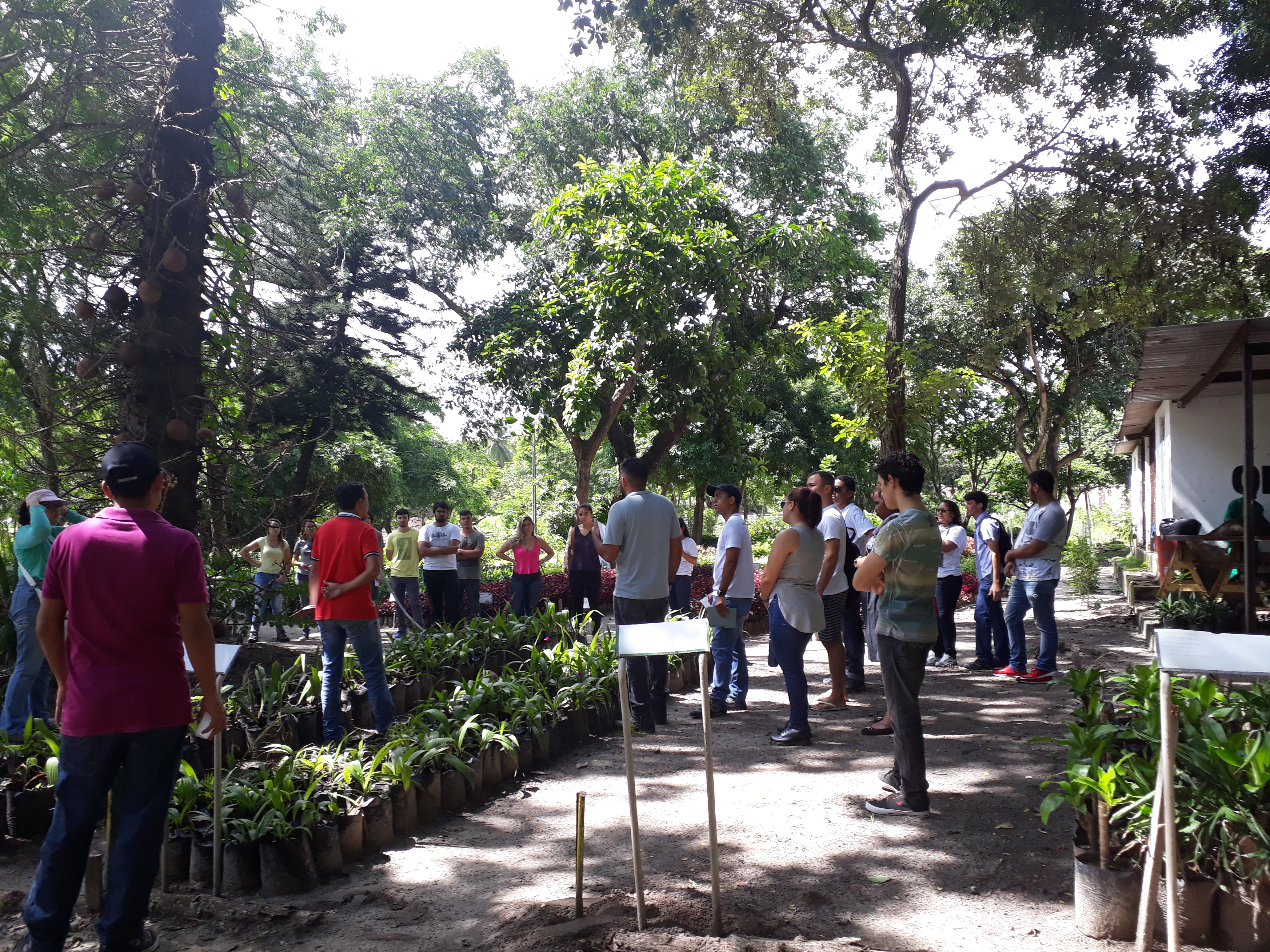 Alunos do Curso de Agronomia da Universidade Federal do Ceará da disciplina de Silvicultura conhecendo o Horto Municipal 