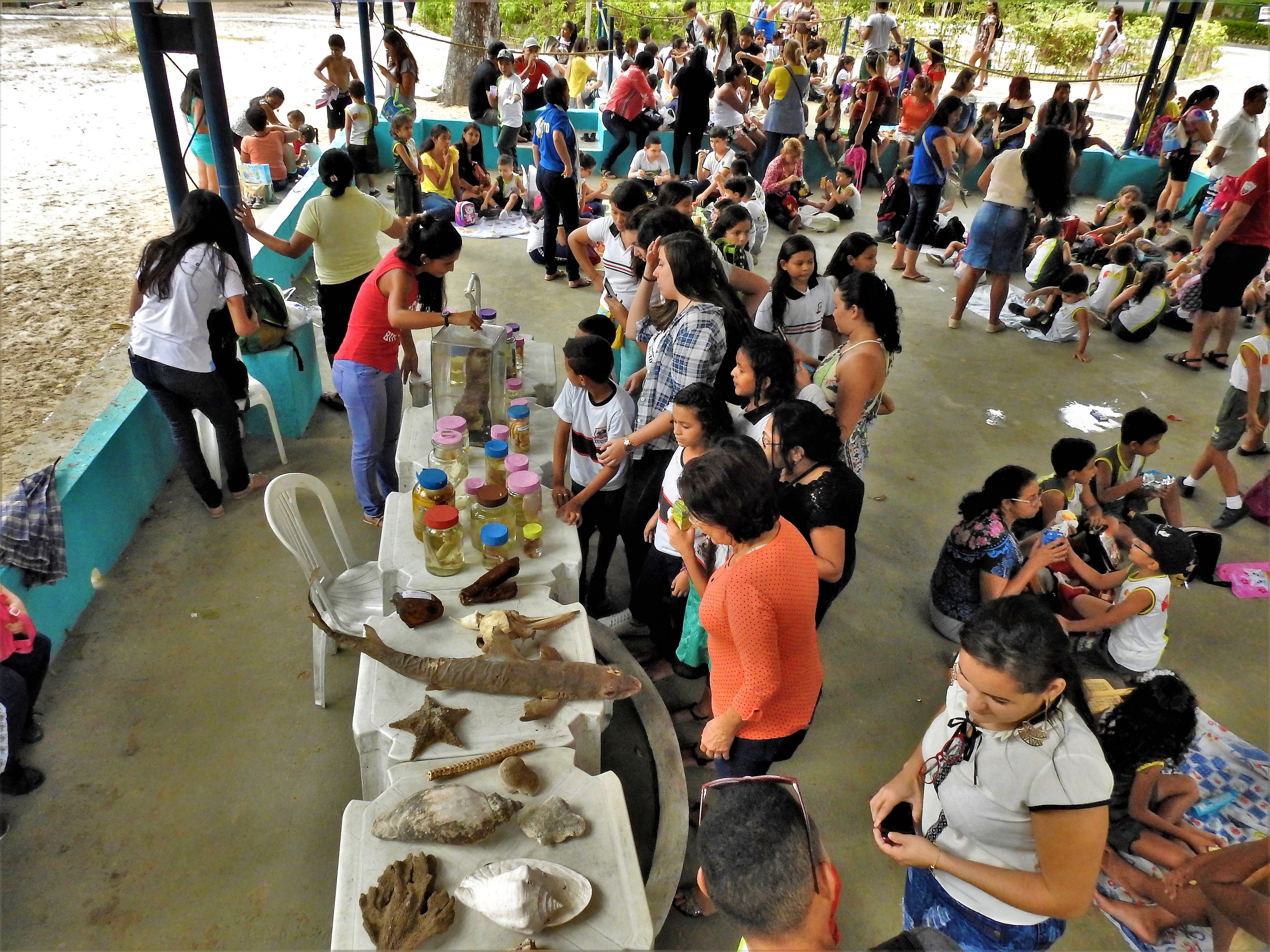 Crianças participando de atividades na Semana da Criança no Zoológico 