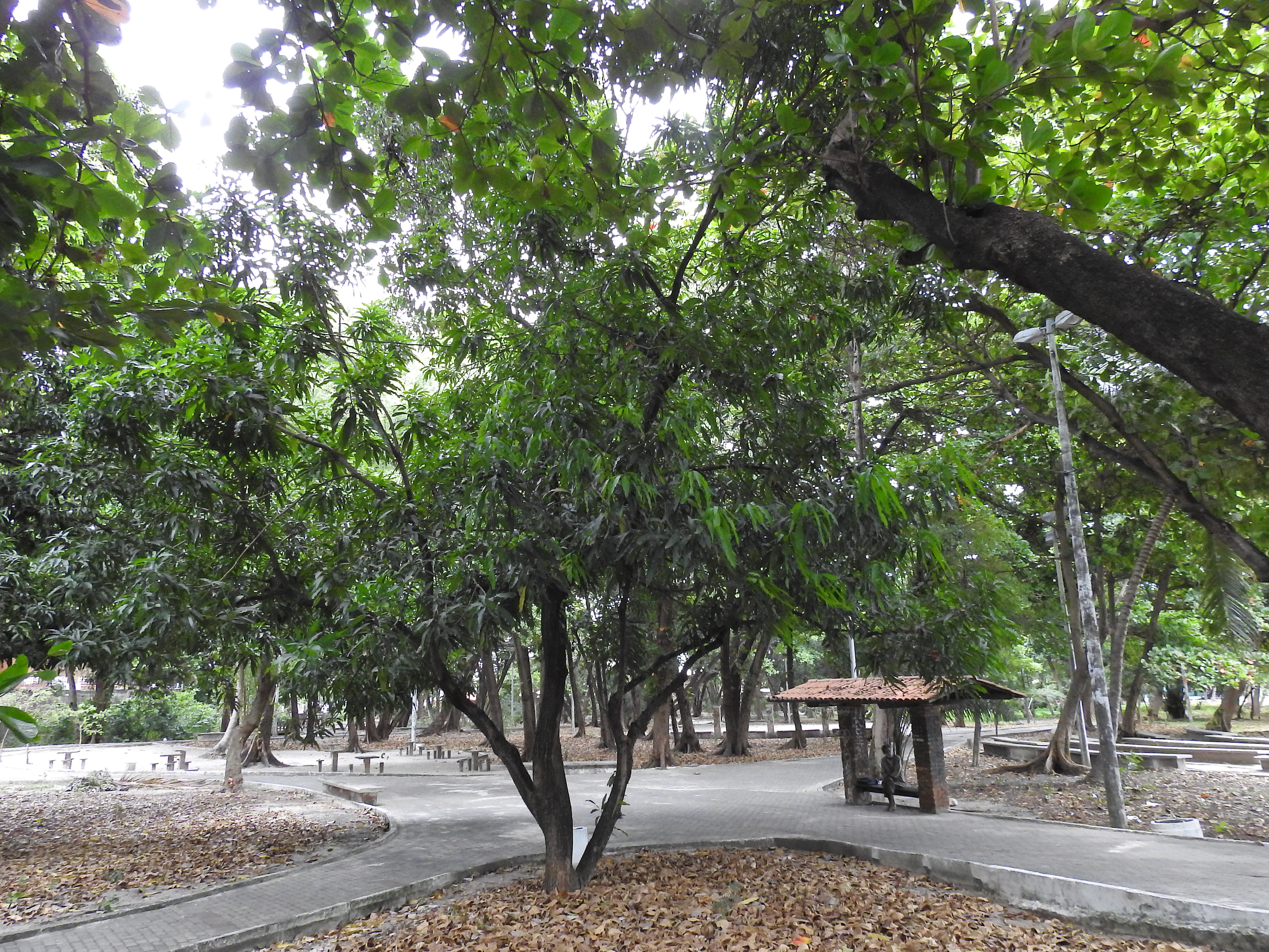 Imagem do Parque Rio Branco 